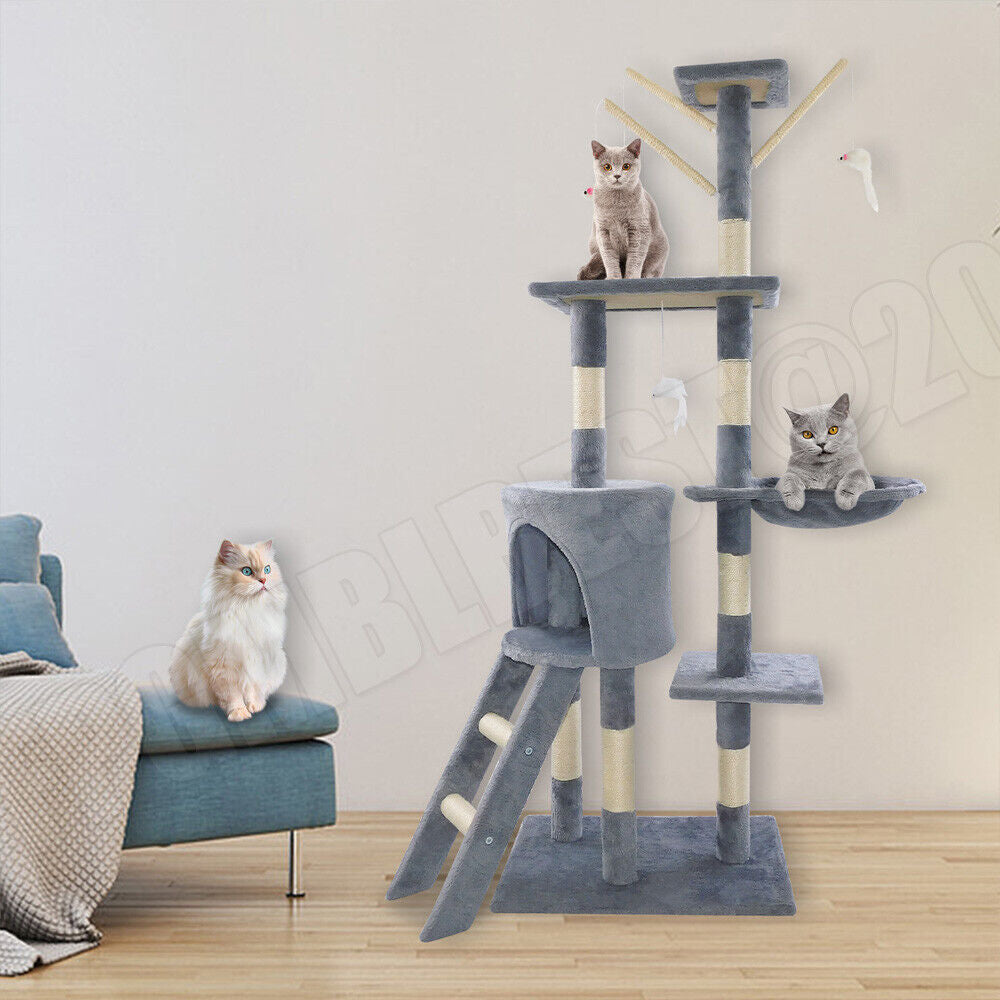 Cat Tree Cat Tower Cat Condo with Scratching Posts & Ladder for Cats Kittens